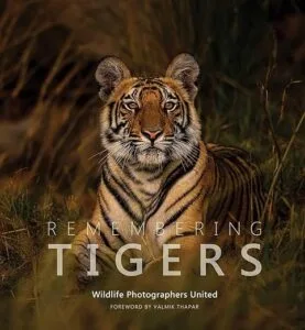 Remembering Tigers by Margot Raggett (Remembering Wildlife United)