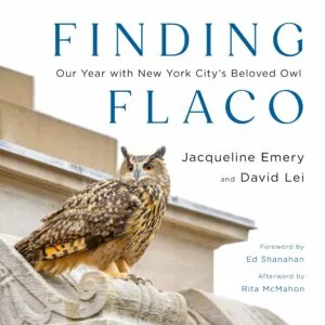 Finding Flaco: Our Year with New York City's Beloved Owl by Jacqueline Emery and David Lei (Owls of New York)