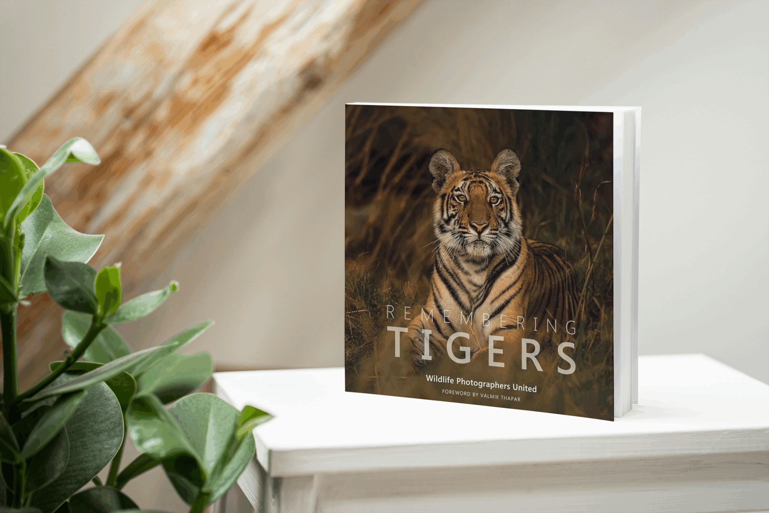 Remembering Tigers Book